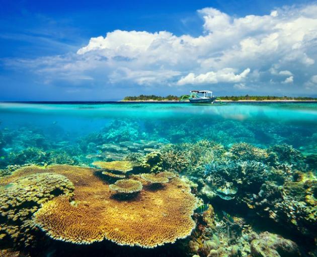 gili islands coral water